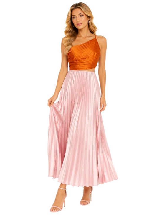 AMUR Dresses & Skirts - NWT AMUR Two-Tone Pleated Maxi Dress Size 4